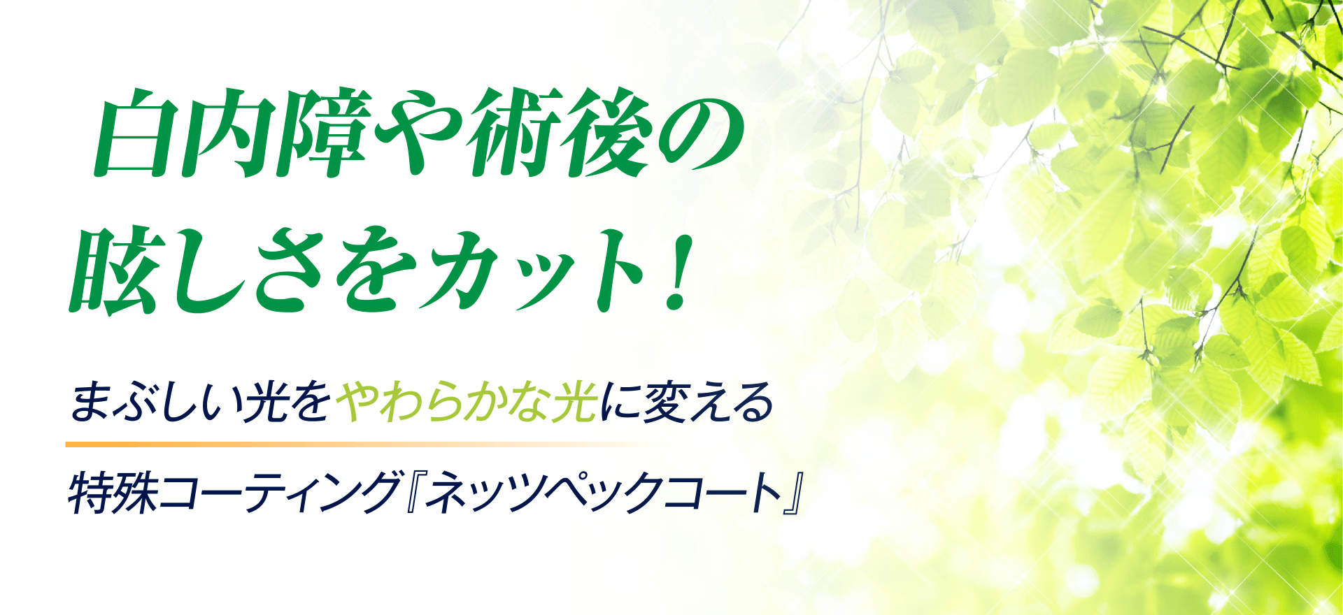 白内障や術後の眩しさをカット!まぶしい光をやわらかな光に変える特殊コーティング『ネッツペックコート』